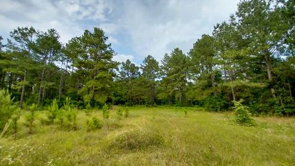 Recreational Property for sale in Polk County, Texas