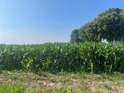 Farm and Ranch for sale in Pierce County, Wisconsin