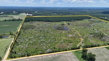 Undeveloped Land for sale in Worth County, Georgia