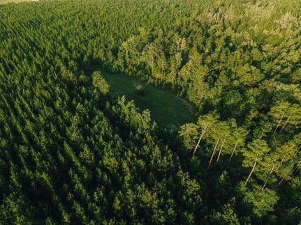 Undeveloped Land for sale in Calhoun County, Florida