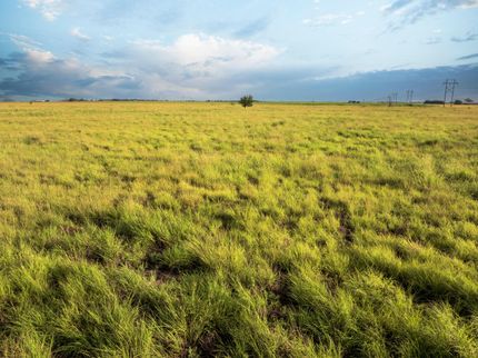Timberland Property for sale in Hockley County, Texas