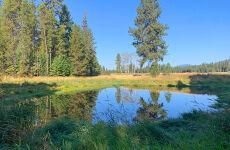 Farm and Ranch for sale in Sanders County, Montana