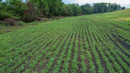 Timberland Property for sale in Mercer County, Missouri