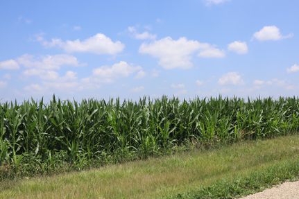Farm and Ranch for sale in Bureau County, Illinois