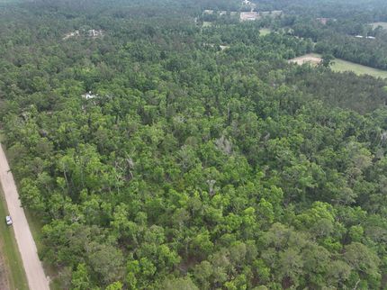 Farm and Ranch in Madison County, Florida