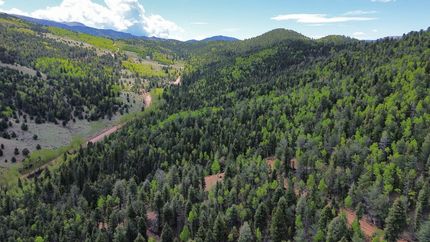 Farm and Ranch in Teller County, Colorado