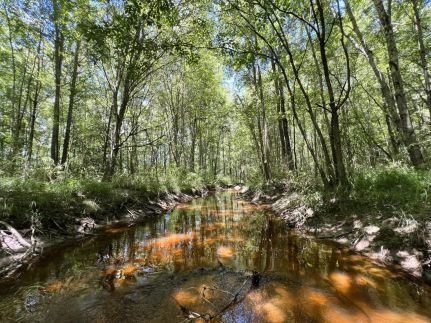 Hunting Property for sale in Washington County, Georgia