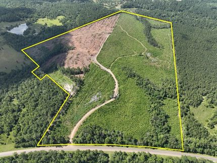 Undeveloped Land for sale in Newton County, Texas