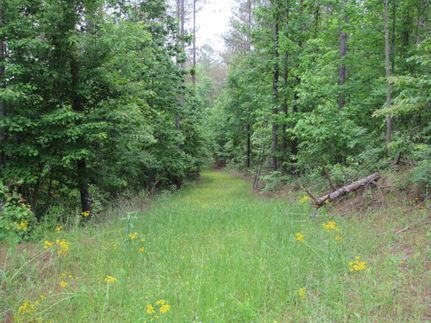 Farm and Ranch for sale in Winston County, Alabama