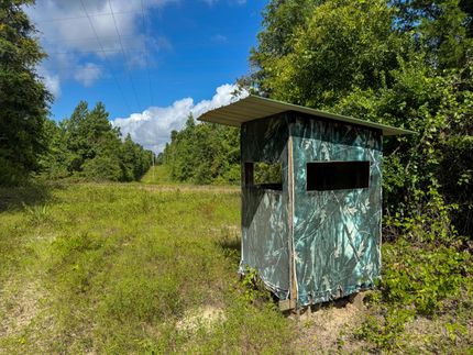 Land for sale in Cass County, Texas