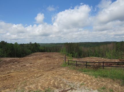 Timberland Property for sale in Winston County, Alabama