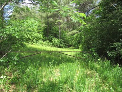 Timberland Property for sale in Cullman County, Alabama