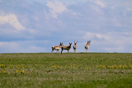 Farm and Ranch for sale in Fergus County, Montana