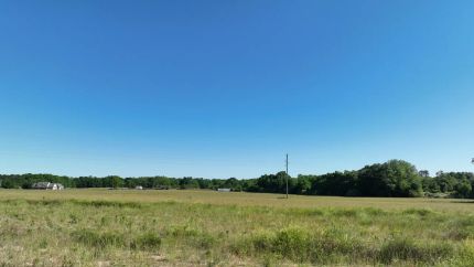 Farm and Ranch for sale in Houston County, Alabama