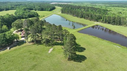 Farm and Ranch for sale in Barbour County, Alabama