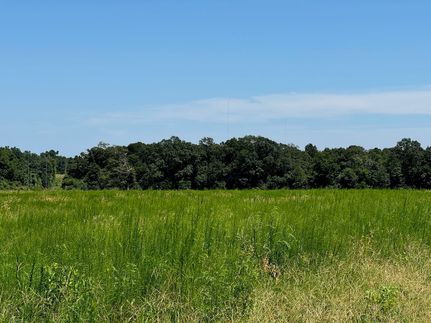 Farm and Ranch for sale in Houston County, Alabama
