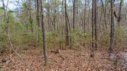 Recreational Property for sale in Shelby County, Alabama
