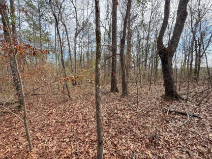 Farm and Ranch for sale in Shelby County, Alabama