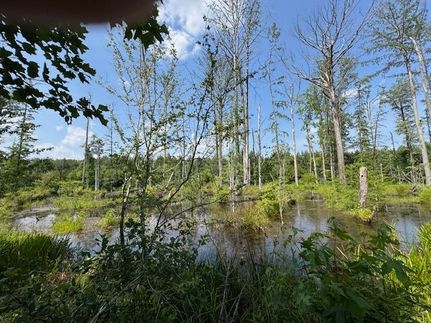 Farm and Ranch for sale in Isle of Wight County, Virginia