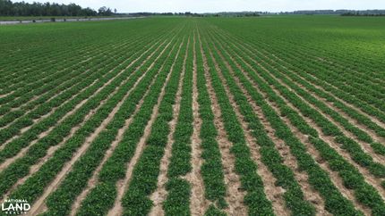Farm and Ranch in Escambia County, Alabama