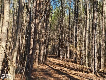 Recreational Property for sale in Fayette County, Alabama