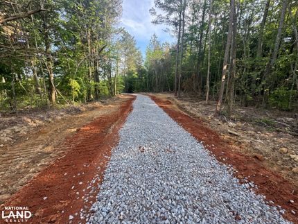Undeveloped Land for sale in Winston County, Mississippi