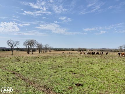 Farm and Ranch for sale in Marengo County, Alabama