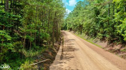 Timberland Property for sale in Attala County, Mississippi