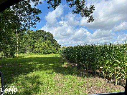 Recreational Property for sale in Clarendon County, South Carolina