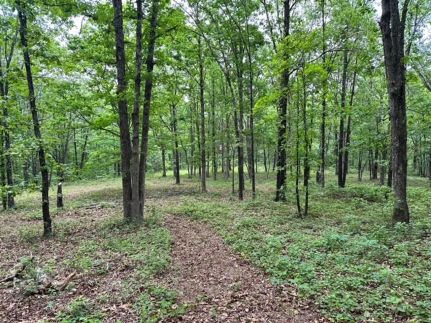 Commercial Property for sale in Van Buren County, Arkansas