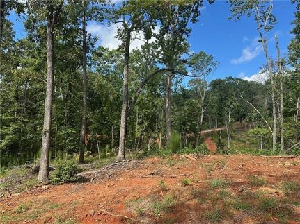 Undeveloped Land for sale in Dawson County, Georgia
