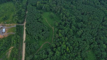 Undeveloped Land for sale in Etowah County, Alabama
