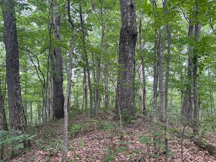 Farm and Ranch for sale in Wayne County, West Virginia