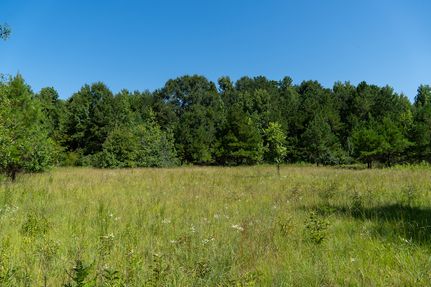 Recreational Property for sale in Houston County, Georgia
