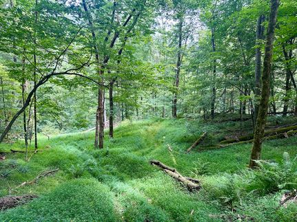 Farm and Ranch for sale in Boone County, West Virginia