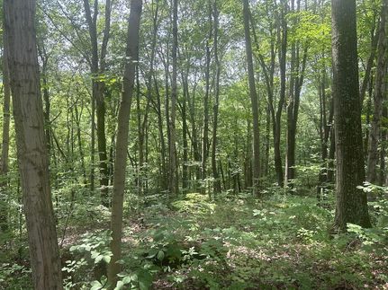 Timberland Property for sale in Muskingum County, Ohio