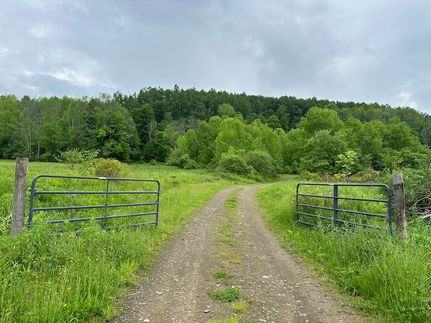 Timberland Property for sale in Allegany County, New York