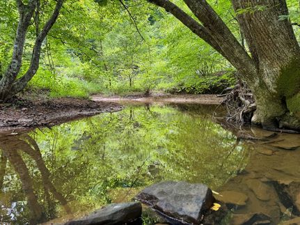 Timberland Property for sale in Magoffin County, Kentucky