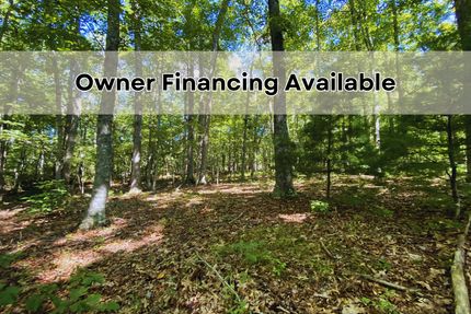 Undeveloped Land for sale in Ashe County, North Carolina