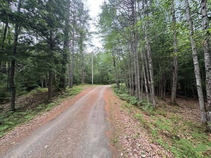 Undeveloped Land for sale in Lincoln County, Maine
