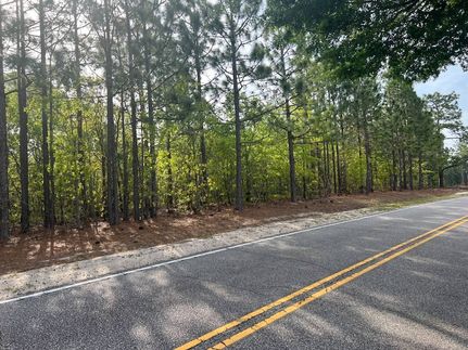 Undeveloped Land for sale in Darlington County, South Carolina