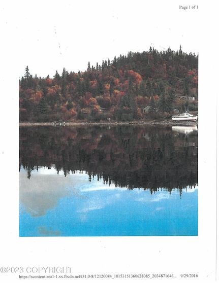 Undeveloped Land for sale in Lake and Peninsula Borough, Alaska