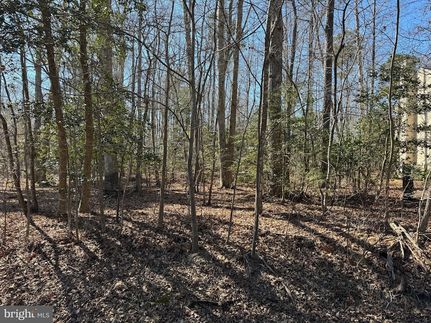 Farm and Ranch for sale in Accomack County, Virginia