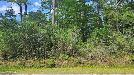 Farm and Ranch for sale in Brunswick County, North Carolina