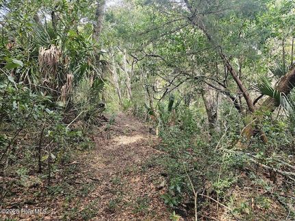 Farm and Ranch for sale in Brunswick County, North Carolina