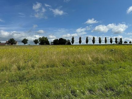 Undeveloped Land for sale in Carroll County, Illinois