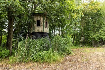 Timberland Property for sale in Coshocton County, Ohio