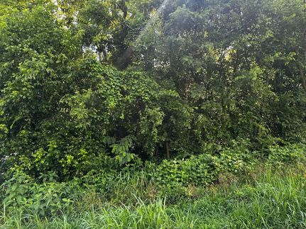 Hunting Property for sale in Hamblen County, Tennessee