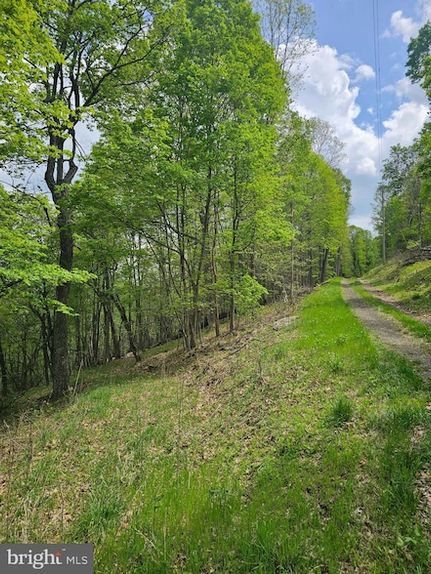 Undeveloped Land for sale in Hampshire County, West Virginia