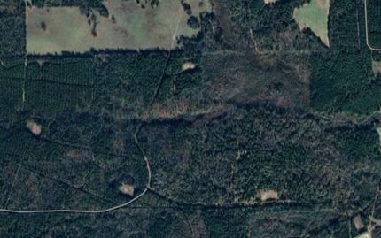 Land for sale in Rusk County, Texas